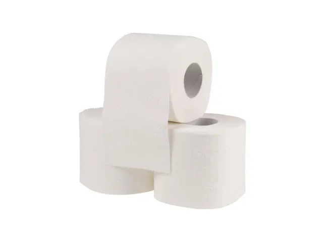kleiser-toilettenpapier-wc-papier-f-r-die-praxis image 1