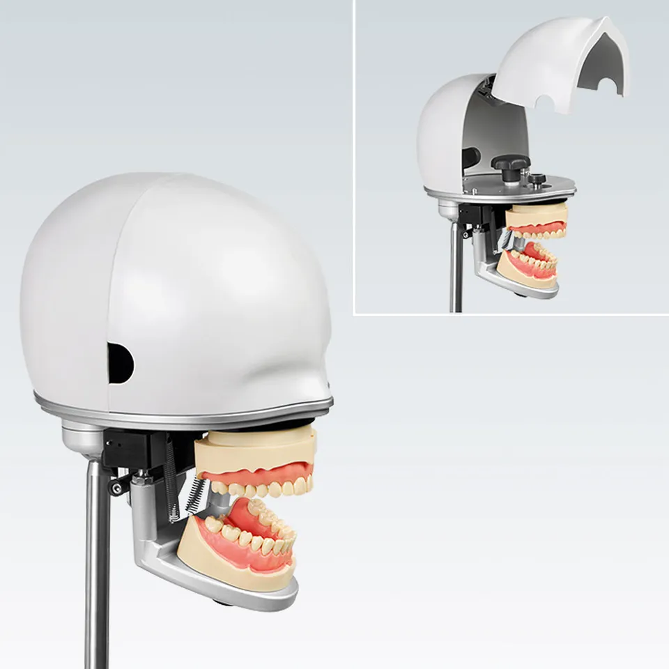 galit-rk-2-phantomkopf-dental-trainingsmodell image 1
