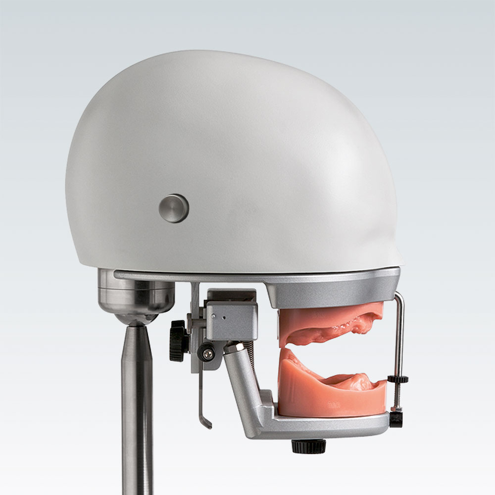 galit-p-6-3-phantomkopf-dental-bungsmodell image 1