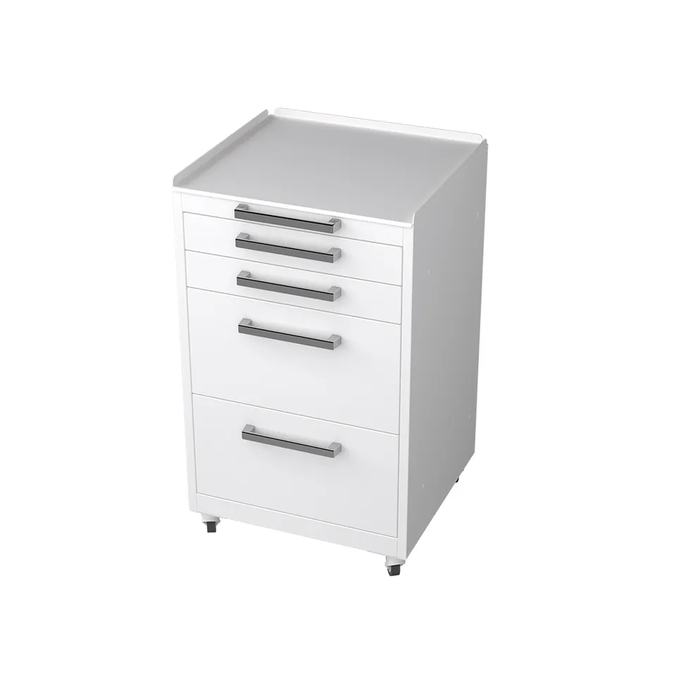 galit-furniture-medizinm-bel-modul-850x500x494-mit-rollen image 1
