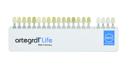 galit-artegral-life-bungsz-hne-zahnmodell-kunstz-hne image 4
