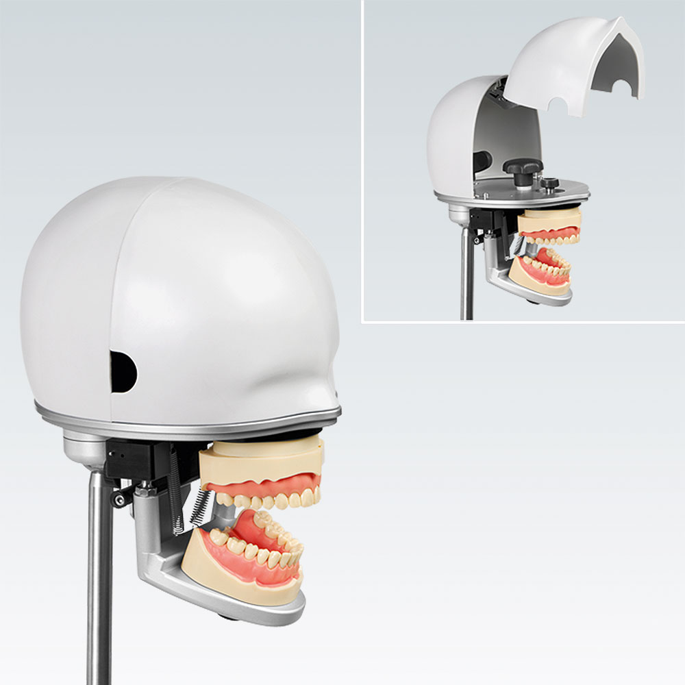galit-rk-2-phantomkopf-dental-trainingsmodell image 1
