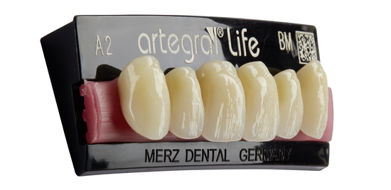 galit-artegral-life-bungsz-hne-zahnmodell-kunstz-hne image 1